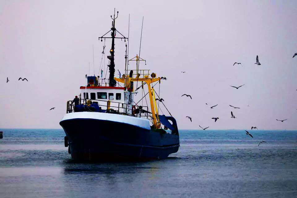 Peruvian fishing companies secure deals worth US$ 93 million in china